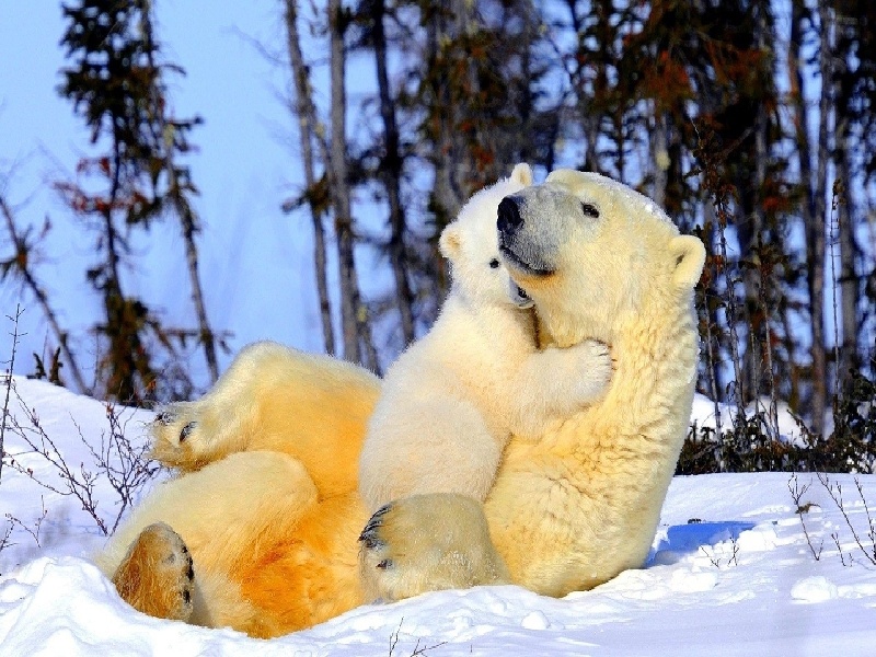 第十二次产检（37周）